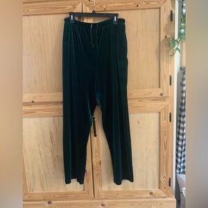 Mountain Lake Deep Green Velvet Trousers Sz L